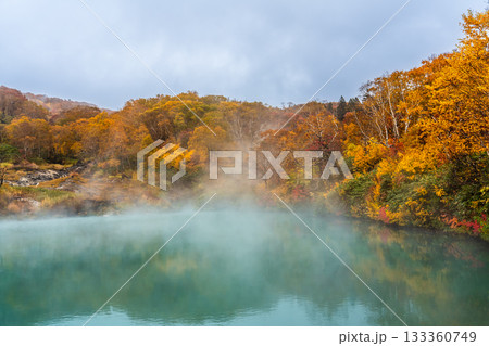 地獄沼の紅葉【青森県青森市】 133360749