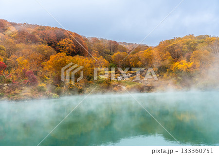 地獄沼の紅葉【青森県青森市】 133360751