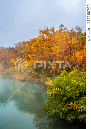 地獄沼の紅葉【青森県青森市】 地獄沼の紅葉【青森県青森市】 133360760