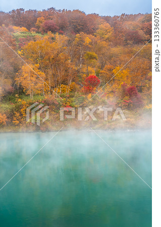 地獄沼の紅葉【青森県青森市】 地獄沼の紅葉【青森県青森市】 133360765