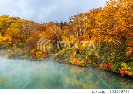 地獄沼の紅葉【青森県青森市】 133360785