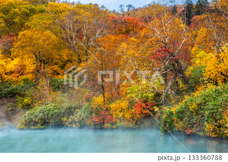 地獄沼の紅葉【青森県青森市】 地獄沼の紅葉【青森県青森市】 133360788