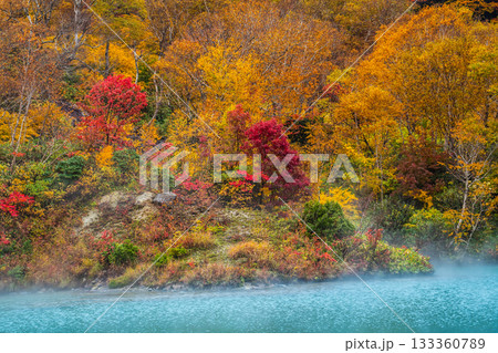 地獄沼の紅葉【青森県青森市】 133360789