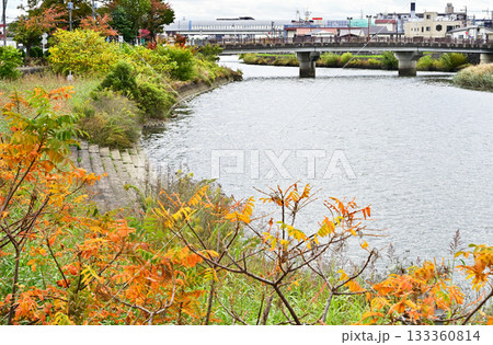 越谷散歩・綾瀬川　川面　越谷市蒲生愛宕 133360814