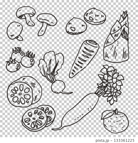 逼真的蔬菜套裝線描圖 133361225