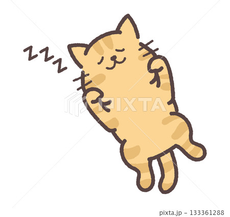 お腹を見せて寝る茶トラ猫 133361288