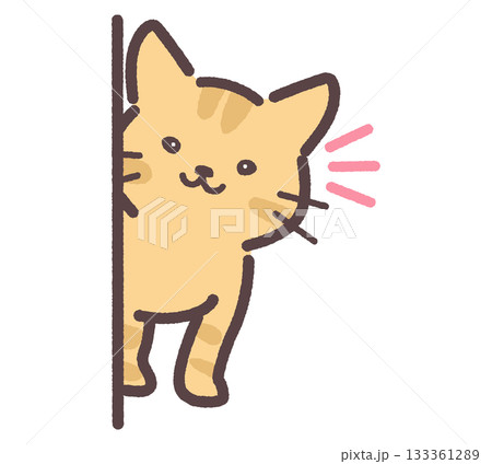 こちらを見ている茶色の猫 133361289