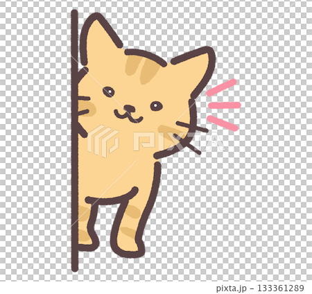 棕色的貓正看著你 133361289