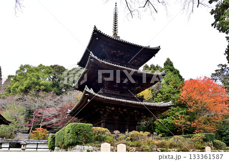 三井寺　三重塔 133361587