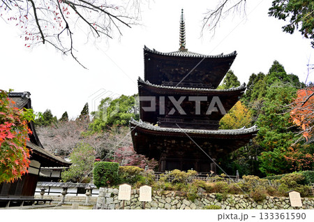 三井寺　三重塔 133361590