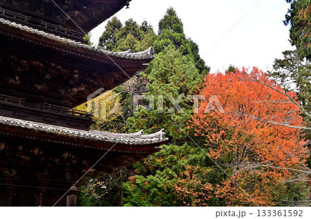 三井寺　三重塔 133361592