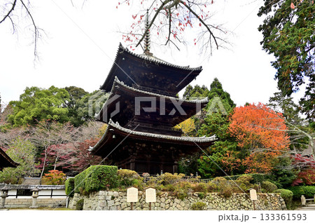 三井寺 三重塔 三井寺 三重塔 133361593