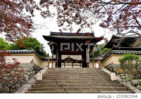 三井寺 四脚門 三井寺 四脚門 133361594
