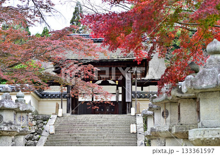 三井寺 四脚門 三井寺 四脚門 133361597