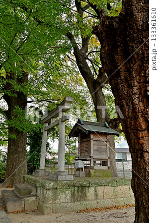 越谷散歩・蒲生の一里塚　愛宕神社　越谷市蒲生愛宕町 133361610