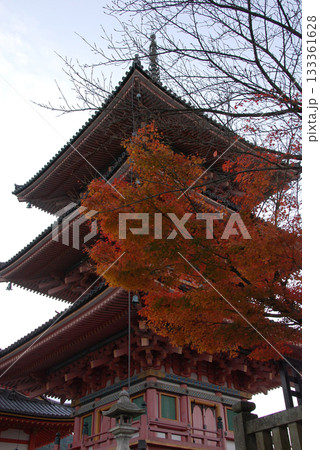 Autumn Kyoto 秋の京都旅行~夕暮れ時に見上げる紅葉したモミジの木と三重の塔(タテ撮り) Autumn Kyoto 秋の京都旅行~夕暮れ時に見上げる紅葉したモミジの木と三重の塔(タテ撮り) 133361628