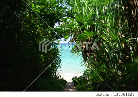 石垣島の秘境ビーチ：緑のトンネルを抜けた先に見えるエメラルドグリーンの海 133361629