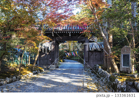 京都の赤山禅院参道の紅葉 京都の赤山禅院参道の紅葉 133361631