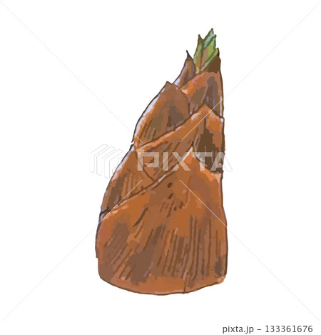 リアルないろいろ野菜イラスト_たけのこ 133361676