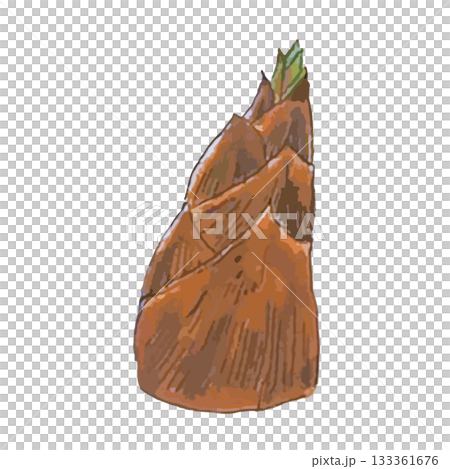 リアルないろいろ野菜イラスト_たけのこ 133361676