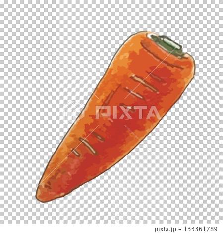 Realistic illustration of various vegetables_carrot 133361789