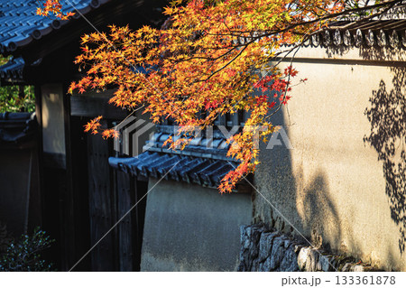 京都の赤山禅院参道の紅葉 京都の赤山禅院参道の紅葉 133361878
