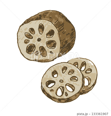 リアルないろいろ野菜のイラスト_れんこん 133361907