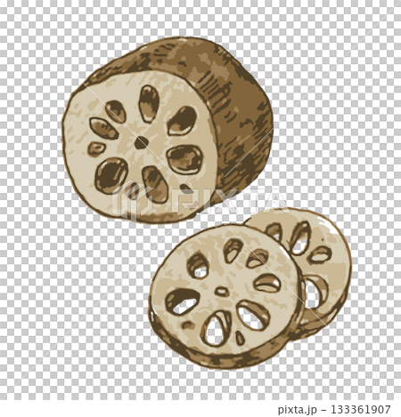 リアルないろいろ野菜のイラスト_れんこん 133361907