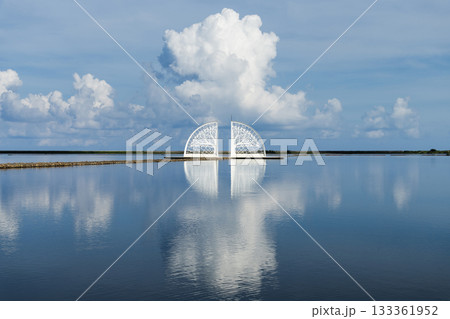 Beautiful Tree of Life installation art at Qinkunshen Fan-shaped Salt Fields in Jiangjun, Tainan, Taiwan, one of the Southwest Coast National Scenic Area attractions. 133361952