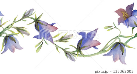 Horizontal seamless border with bells on an isolated background. Watercolor illustration of wildflowers. A botanical template for textile and wallpaper design. Horizontal seamless border with bells on an isolated background. Watercolor illustration of wildflowers. A botanical template for textile and wallpaper design. 133362003