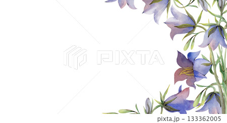 A horizontal frame with bluebells on an isolated background. Watercolor illustration of wildflowers. A botanical template with an empty place to insert. A horizontal frame with bluebells on an isolated background. Watercolor illustration of wildflowers. A botanical template with an empty place to insert. 133362005