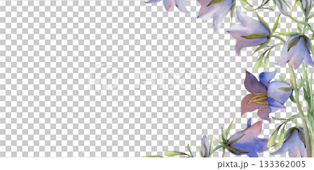 A horizontal frame with bluebells on an isolated background. Watercolor illustration of wildflowers. A botanical template with an empty place to insert. 133362005