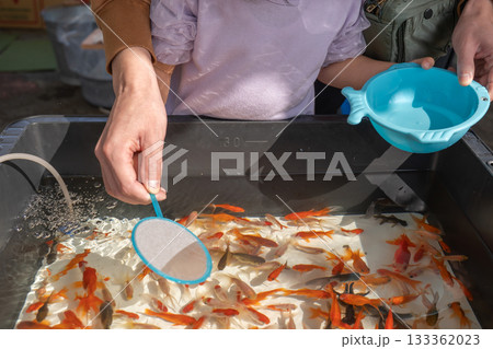 縁日に金魚すくいをする親子 133362023