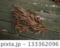 木材に置かれた枯れた杉科の小枝 133362096