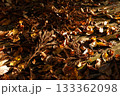 ウッドデッキに積み重なる枯れ葉と枝 133362098