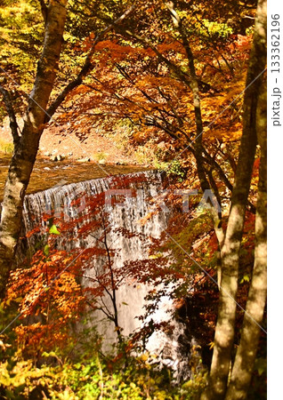 紅葉と砂防堰堤を流れる白い流れ 紅葉と砂防堰堤を流れる白い流れ 133362196