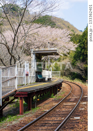 日本の駅舎 わたらせ渓谷鐵道 中野駅 春の花々 日本の駅舎 わたらせ渓谷鐵道 中野駅 春の花々 133362401