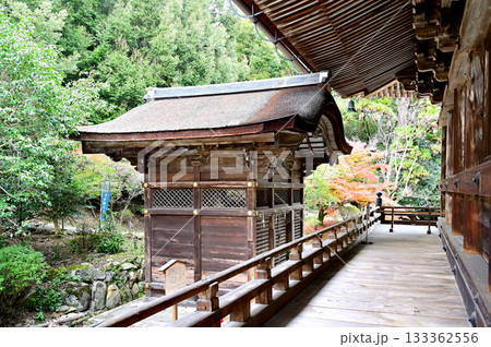 三井寺 金堂と閼伽井屋 三井寺 金堂と閼伽井屋 133362556