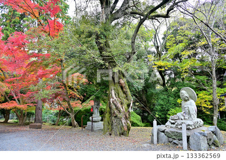 三井寺　参道 133362569