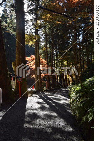2025年11月16日　貴船神社　奥宮 133363187