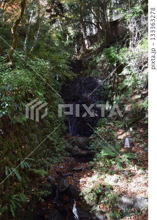 2025年11月16日　貴船山 133363278