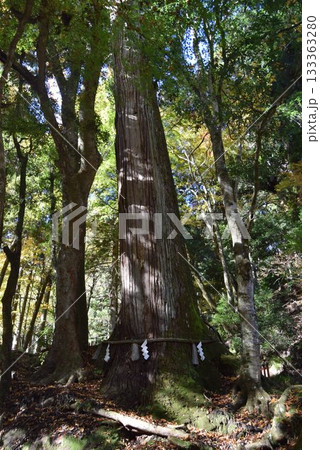2025年11月16日　貴船山 133363280