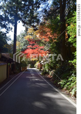2025年11月16日 貴船山 2025年11月16日 貴船山 133363285