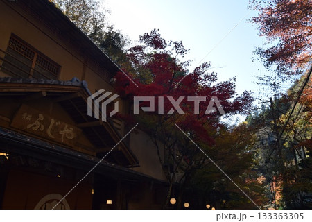 2025年11月16日　貴船山 133363305