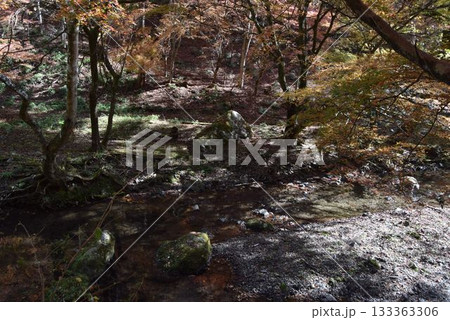 2025年11月16日　貴船山 133363306