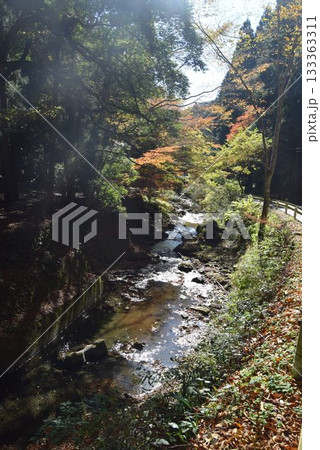 2025年11月16日 貴船山 2025年11月16日 貴船山 133363311