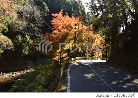2025年11月16日　貴船山 133363314