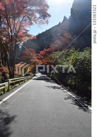 2025年11月16日 貴船山 2025年11月16日 貴船山 133363321