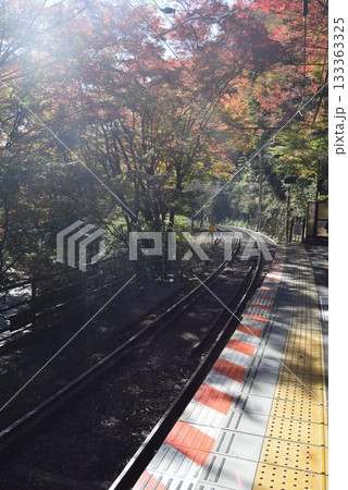 2025年11月16日　貴船山 133363325