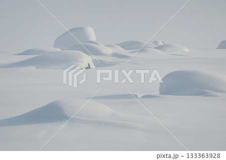 Snowdrifts in the tundra close-up against the background of a white field and the sky in a minimalist style. Snowdrifts in the tundra close-up against the background of a white field and the sky in a minimalist style. 133363928